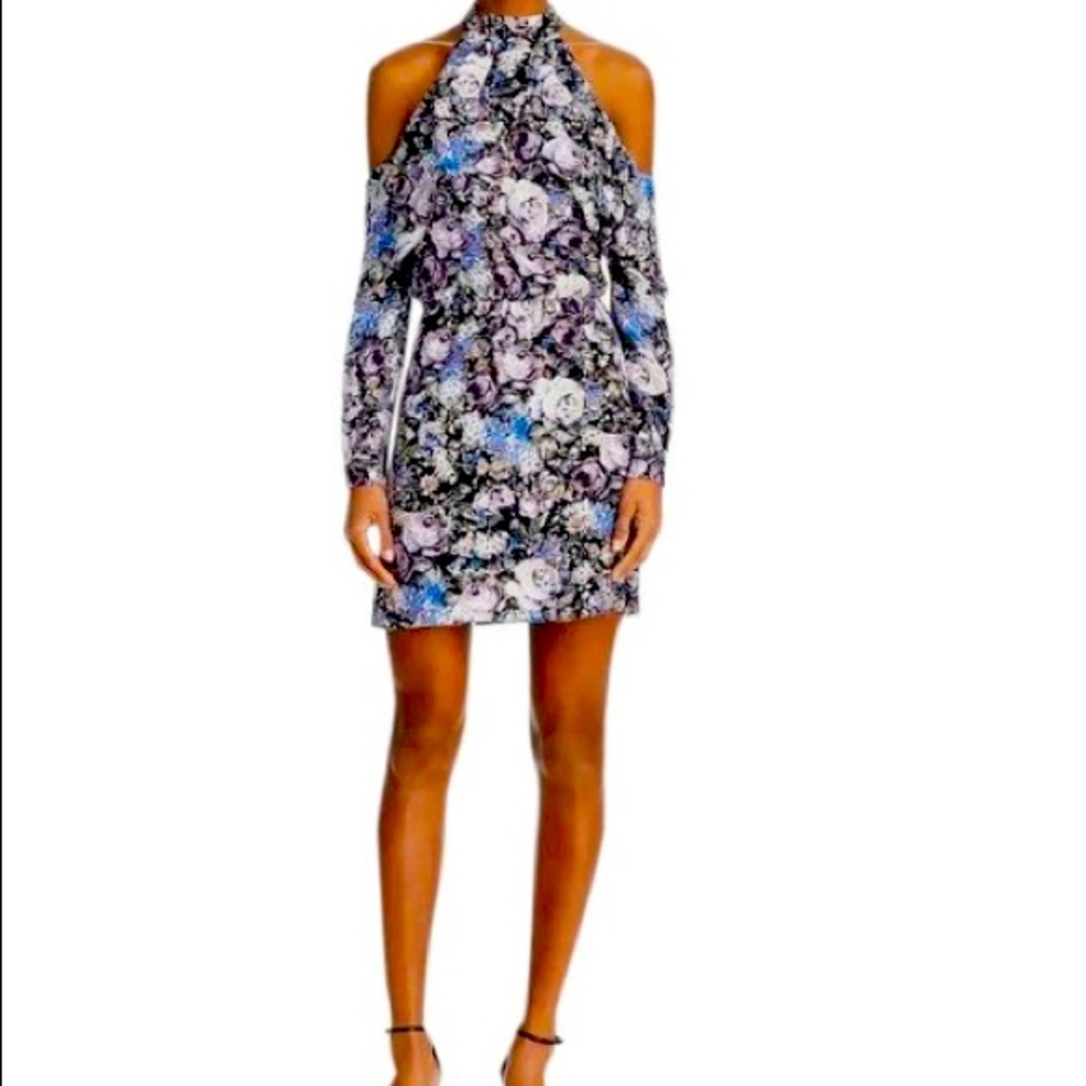 Parker Naomi Dress